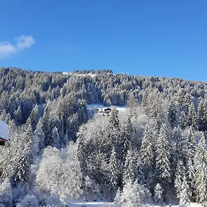 Les 3 Cols Morzine, 2 Pieces, 2 Personnes Apartment Morzine